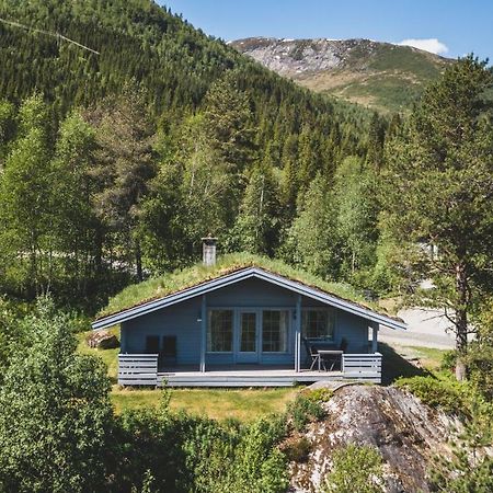 Jolsterlia Hyttetun Årdal Exteriér fotografie