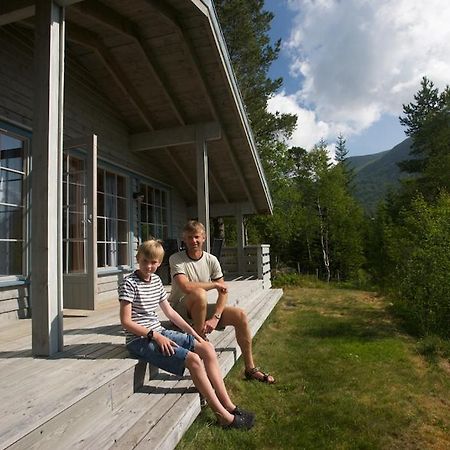 Jolsterlia Hyttetun Årdal Exteriér fotografie