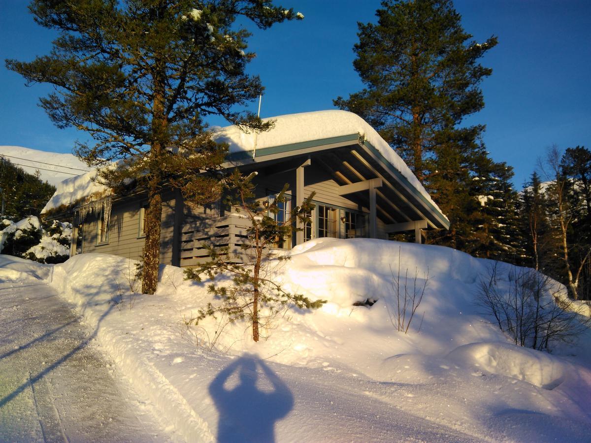 Jolsterlia Hyttetun Årdal Exteriér fotografie