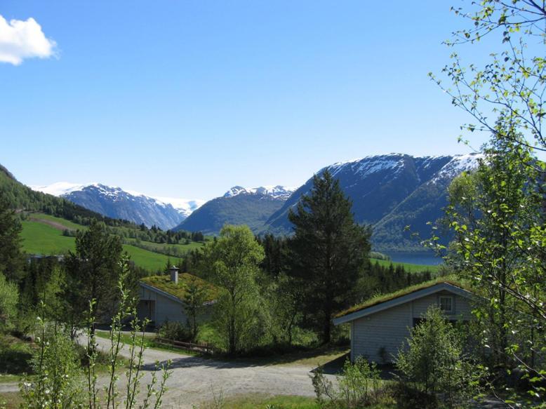 Jolsterlia Hyttetun Årdal Exteriér fotografie