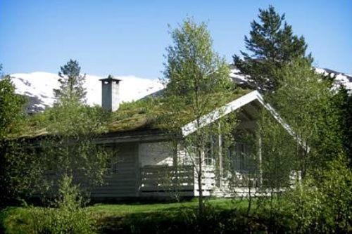 Jolsterlia Hyttetun Årdal Exteriér fotografie