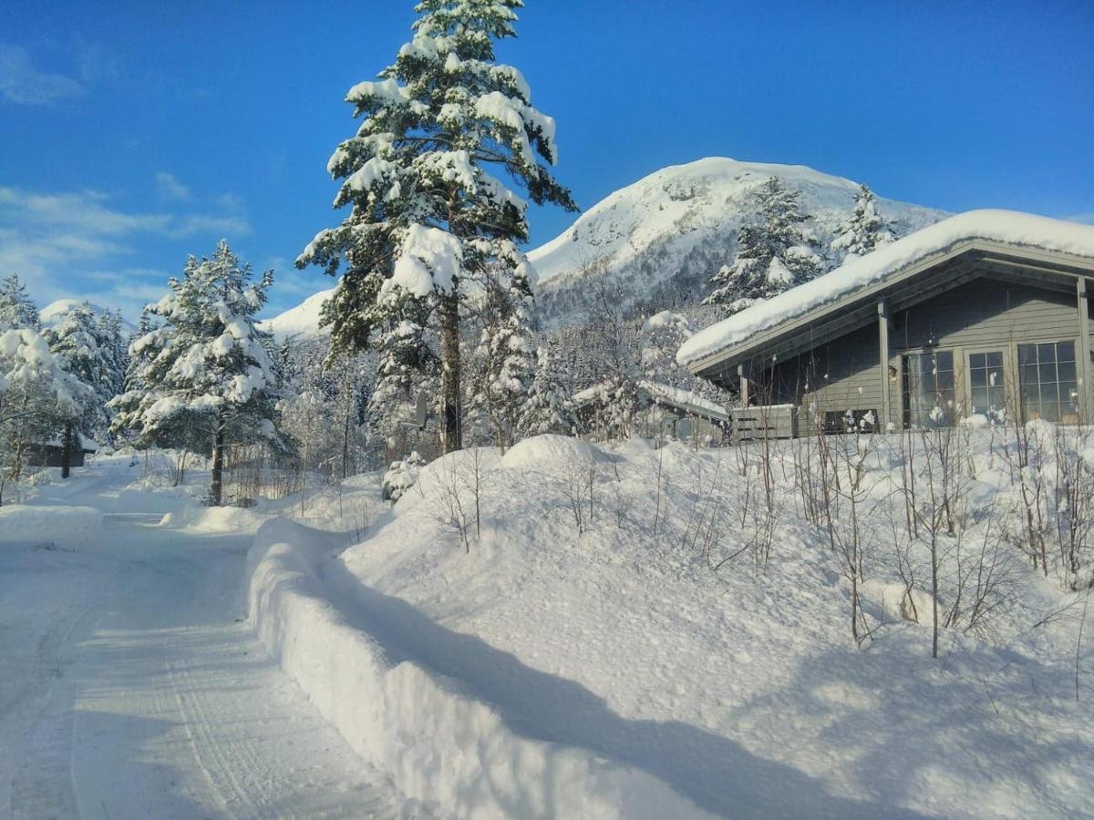 Jolsterlia Hyttetun Årdal Exteriér fotografie